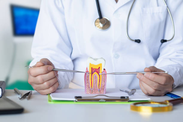 Best Emergency Dentist for Lost Fillings or Crowns in Pen Argyl, PA